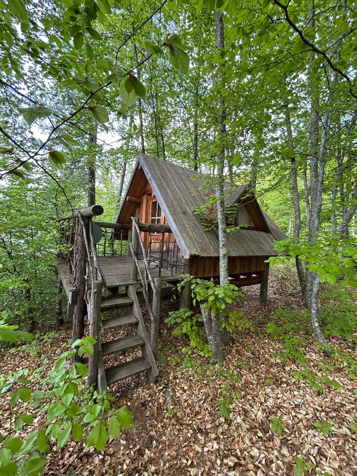 orderedImageAlt_accommodation_default