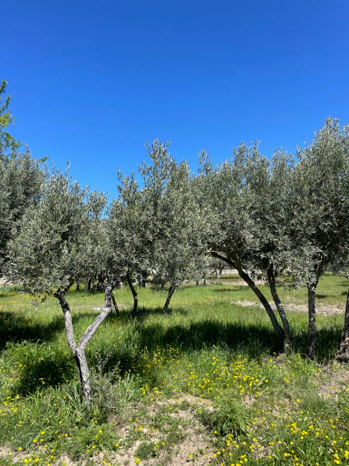 GreenGo location vacances écoresponsables