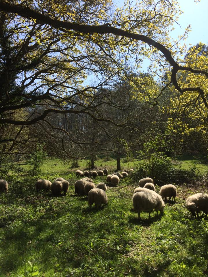 orderedImageAlt_accommodation_default