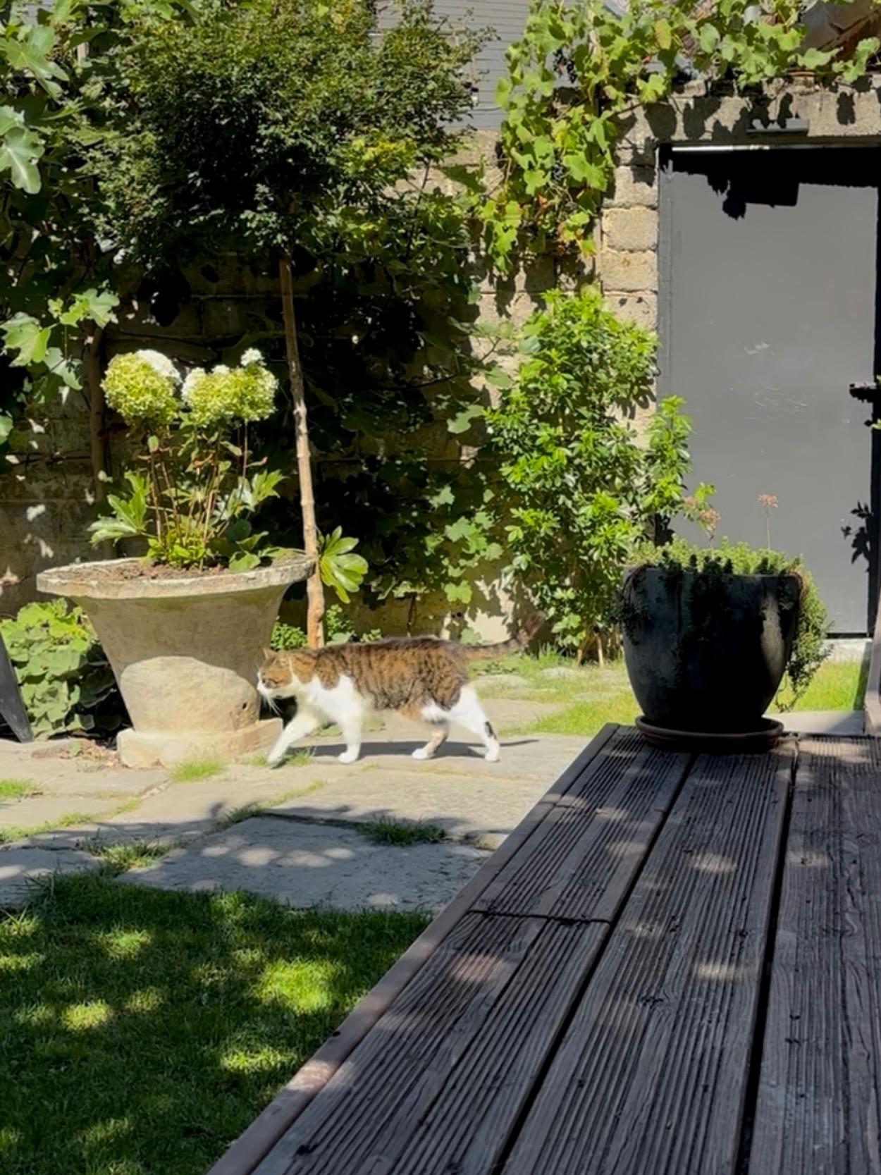 GreenGo Nuité, Diner & Petit Déjeuner dans Maison d'Arts.