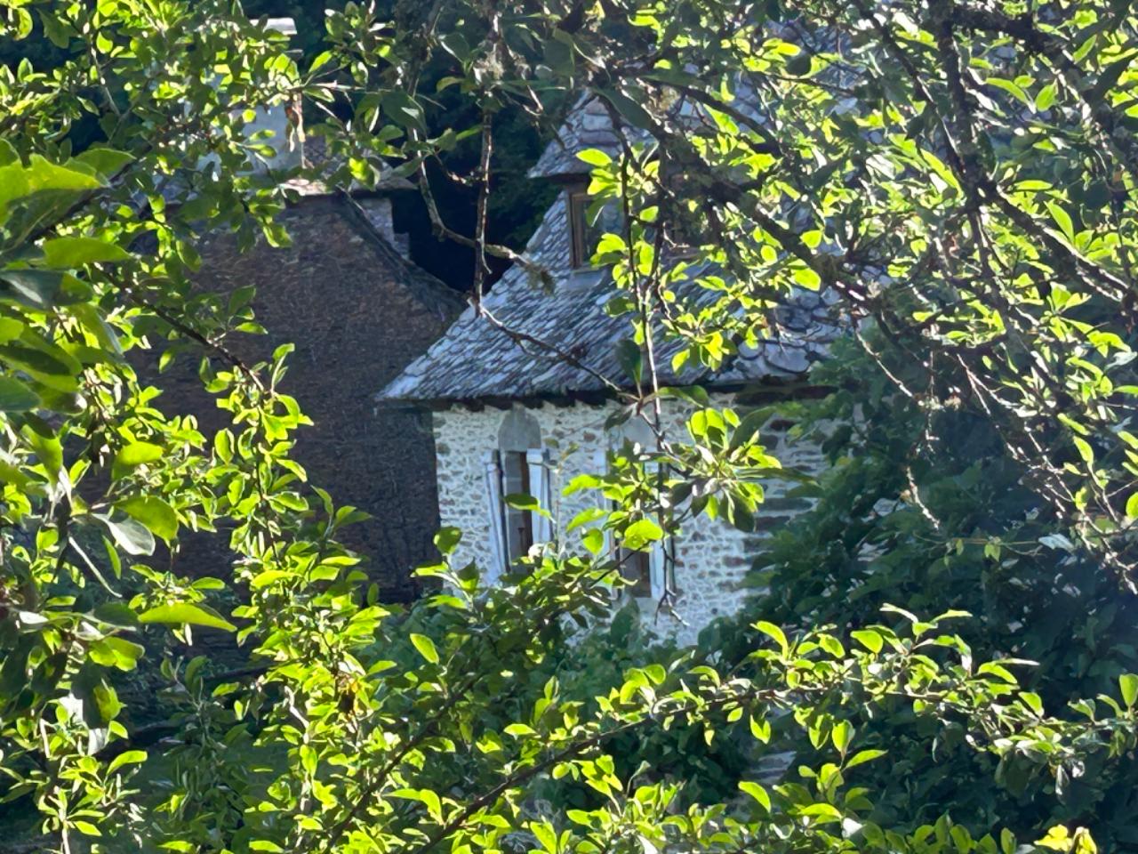 orderedImageAlt_accommodation_default
