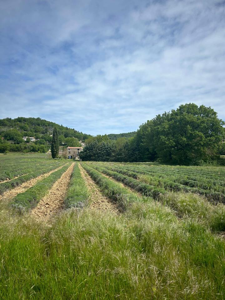 Hôte GreenGo: L'espoullière - Maison provençale - Image 2