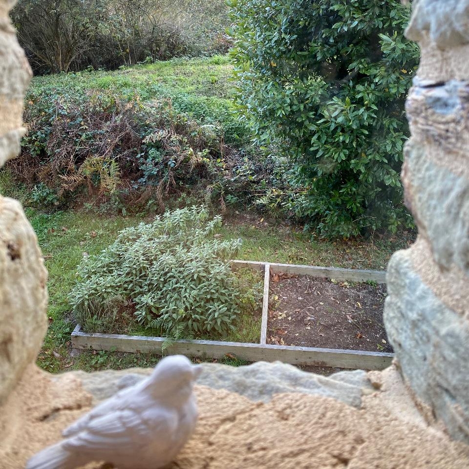 Carte cadeau GreenGo