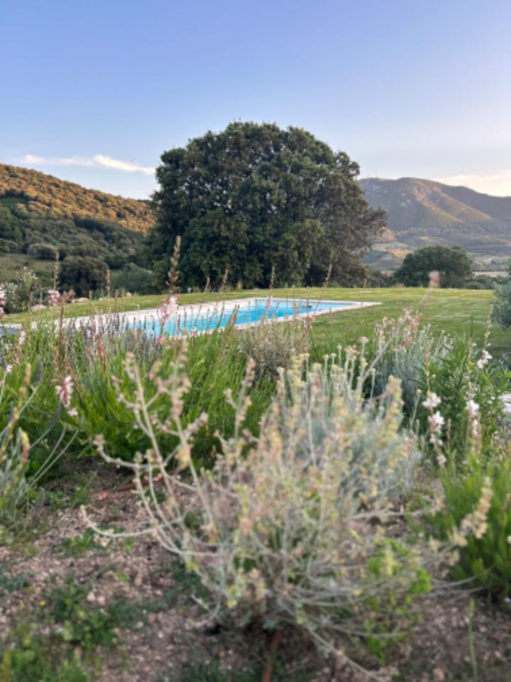 Hôte GreenGo: La Bergerie de l'Alivettu avec piscine en Corse du sud - Image 22