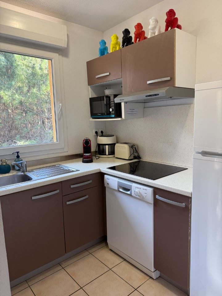 GreenGo Le p'ti coin de paradis