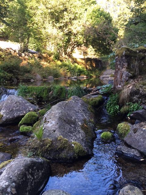 Hôte GreenGo: Gîte en Lodevois Larzac - Image 21