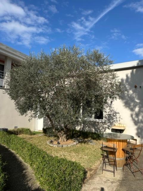 GreenGo location vacances écoresponsables