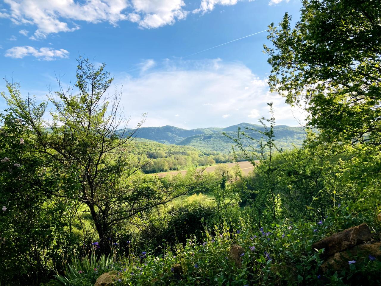 GreenGo location vacances écoresponsables
