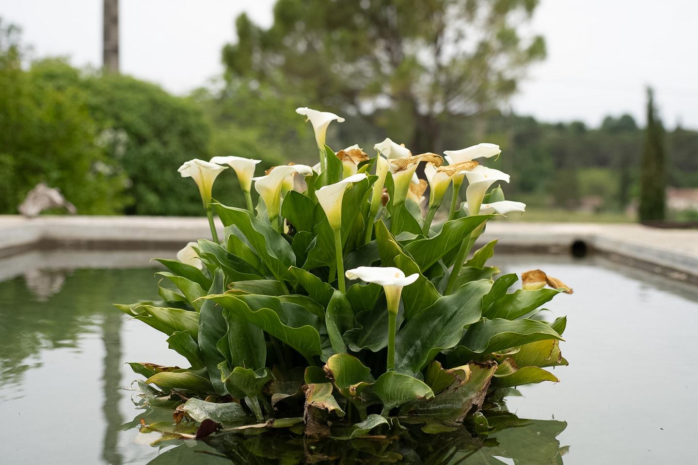  Vaucluse Gîte de groupe