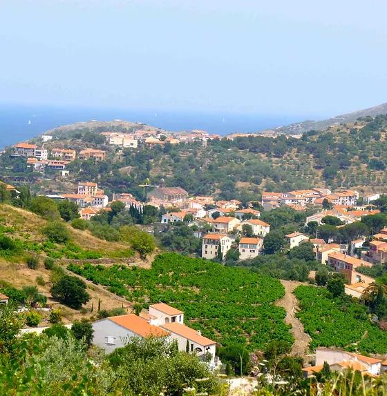 Logement GreenGo: La Cigalière Gîte Bleu Azur - Image 28