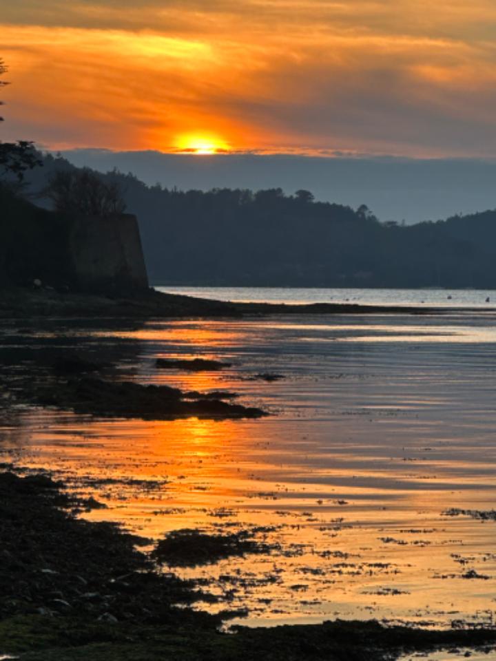 GreenGo Tiny Ti-Koad