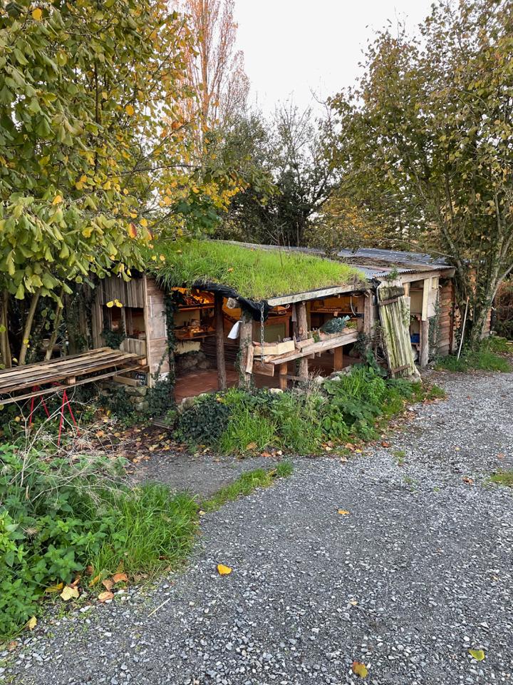 Hôte GreenGo: Ravissante petite maison des marais salants - Image 11