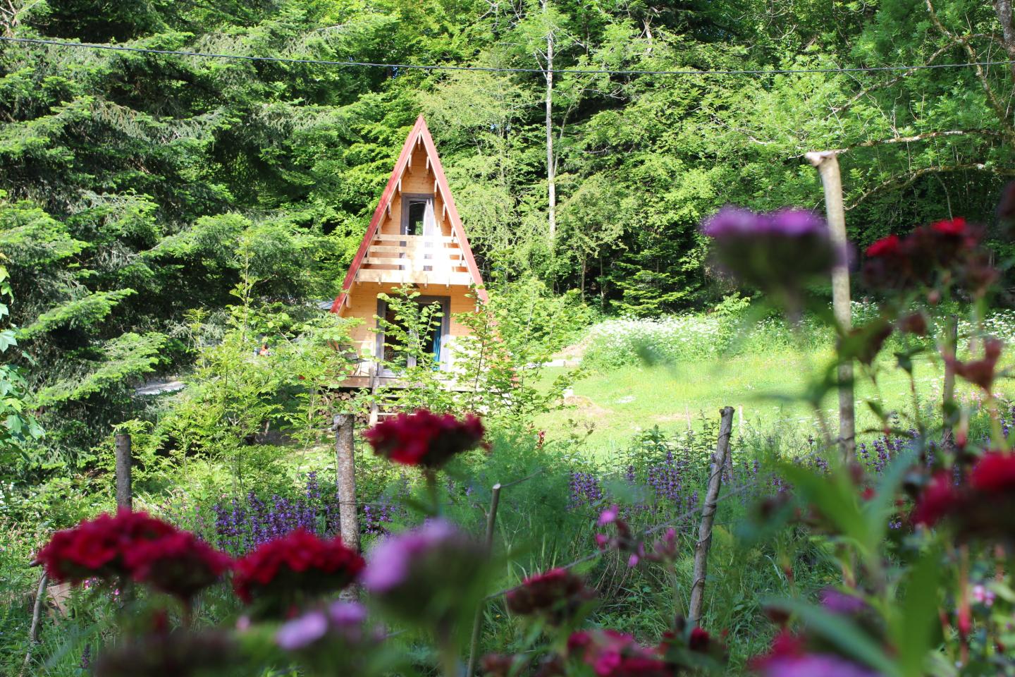 GreenGo Le Chalet a Lapiousou