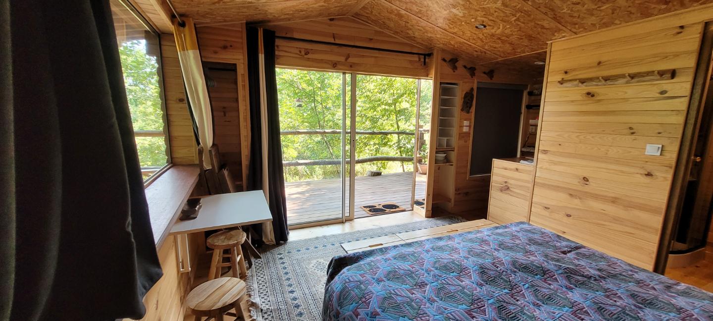  Alpes-Maritimes En forêt