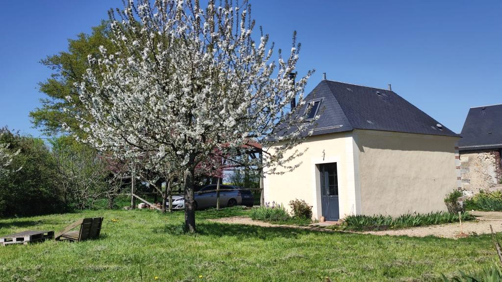 La petite maison