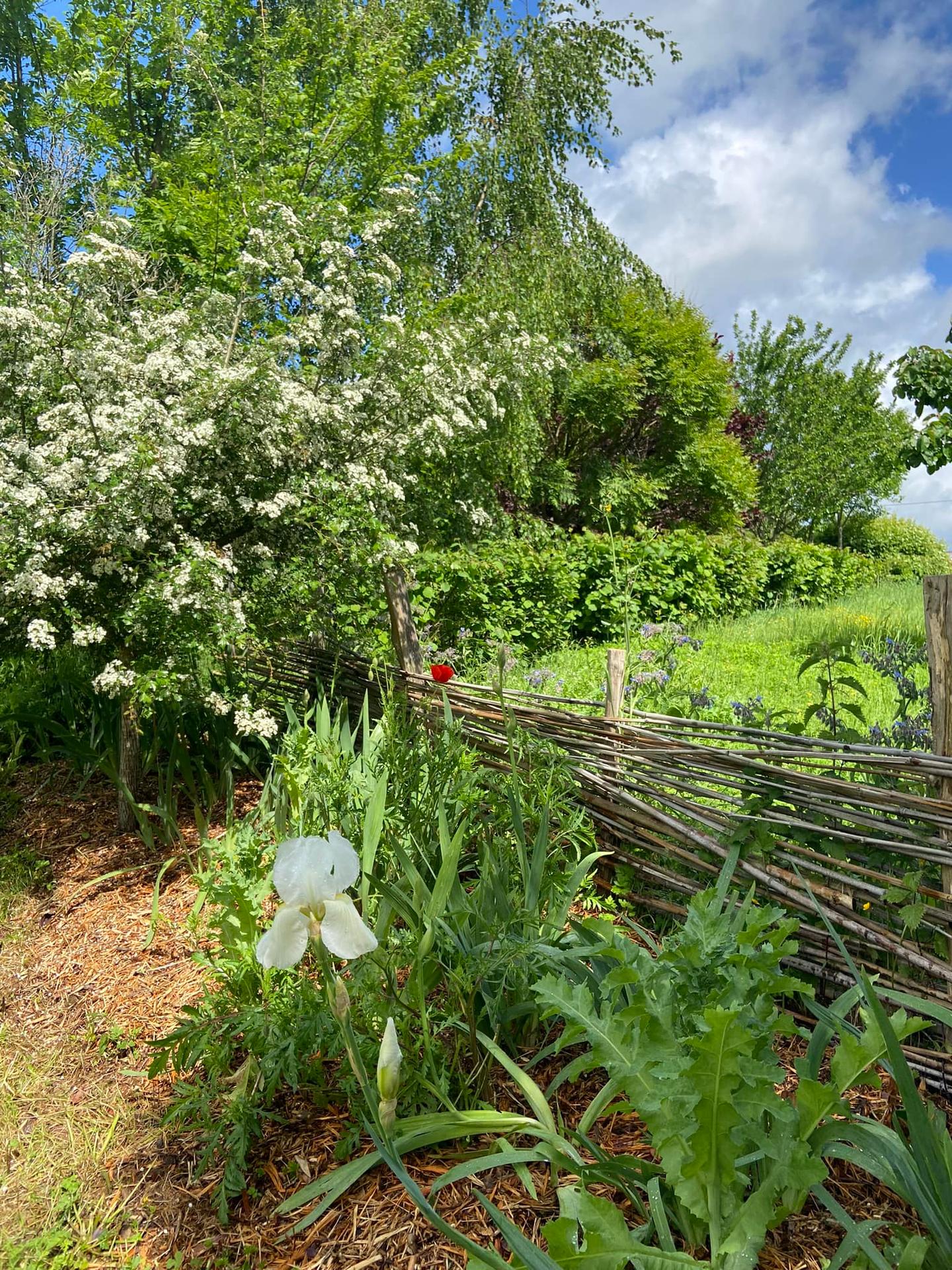 Hôte GreenGo: La Colline aux Licornes - Image 19