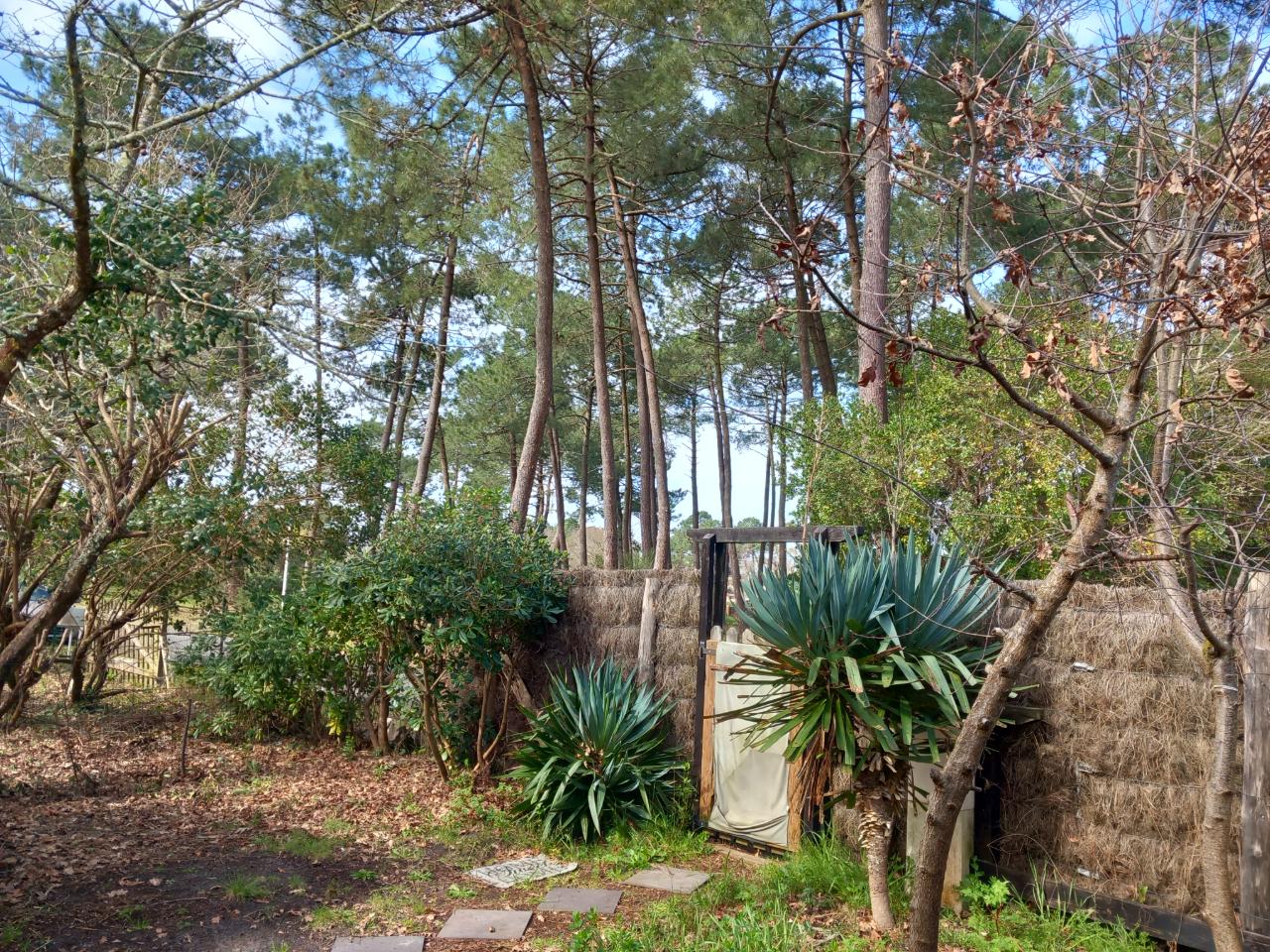 Logement GreenGo: Chalet bois sous les chênes