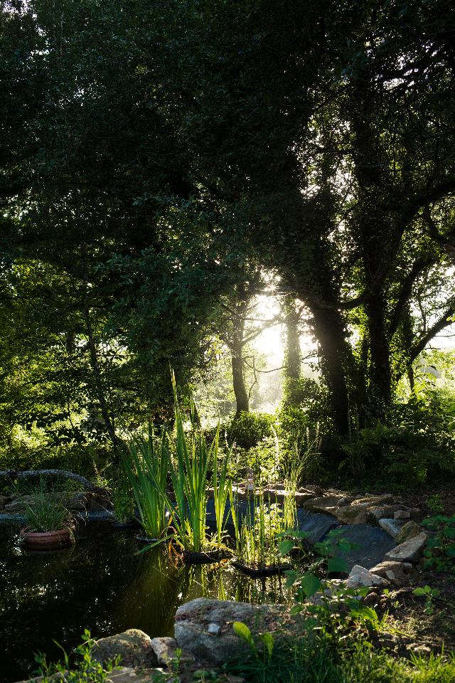 Hôte GreenGo: La tiny du jardin de la foret - Image 12