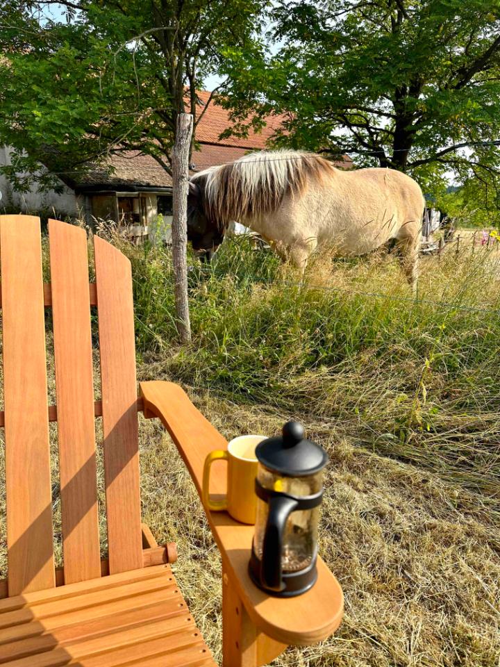 Hôte GreenGo: Tiny House et chevaux - Image 19