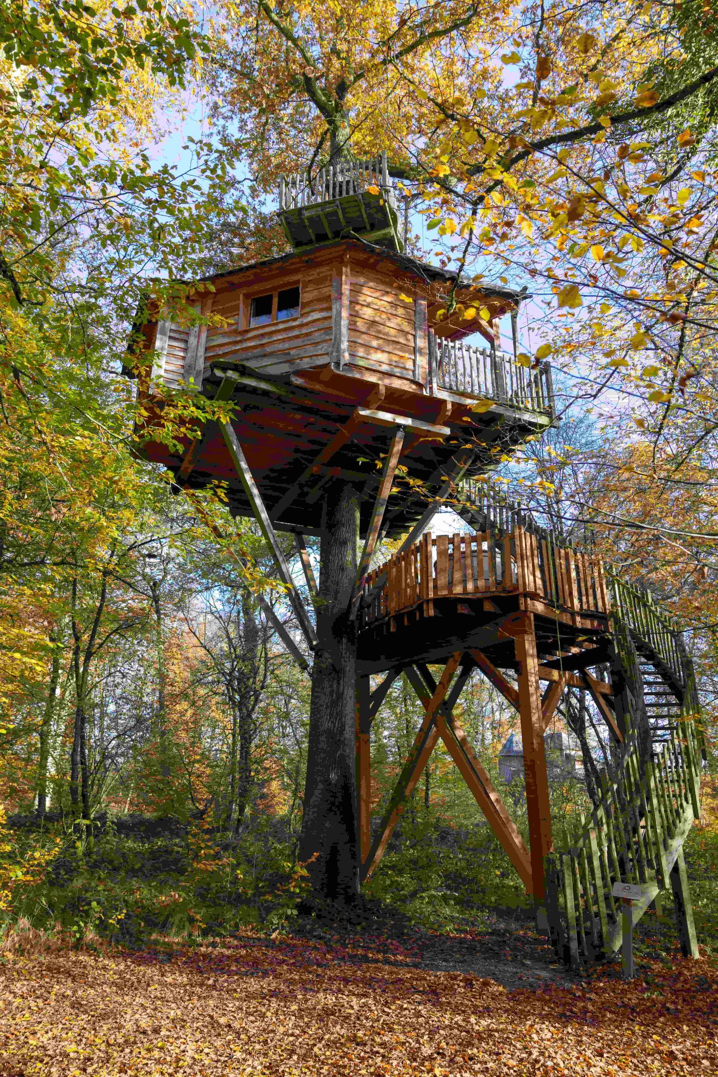 orderedImageAlt_accommodation_default