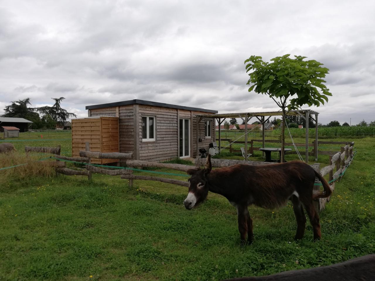 Logement GreenGo: La Cab'Âne de Medeina - Image 3