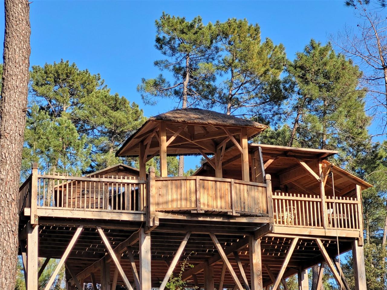 orderedImageAlt_accommodation_default