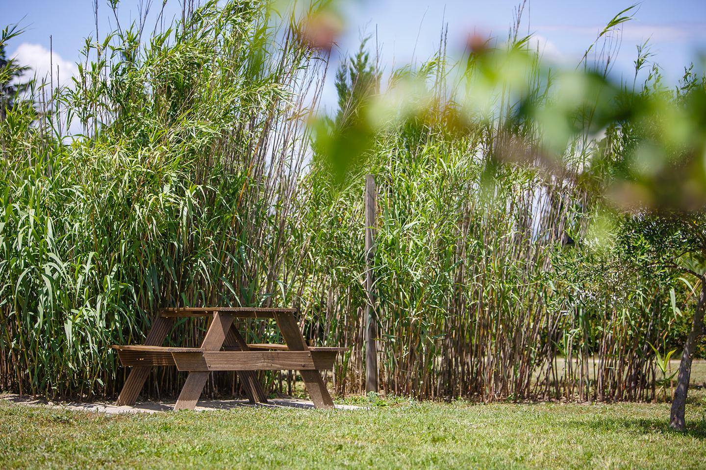 Hôte GreenGo: Gîte Le Petit Viala - Image 17