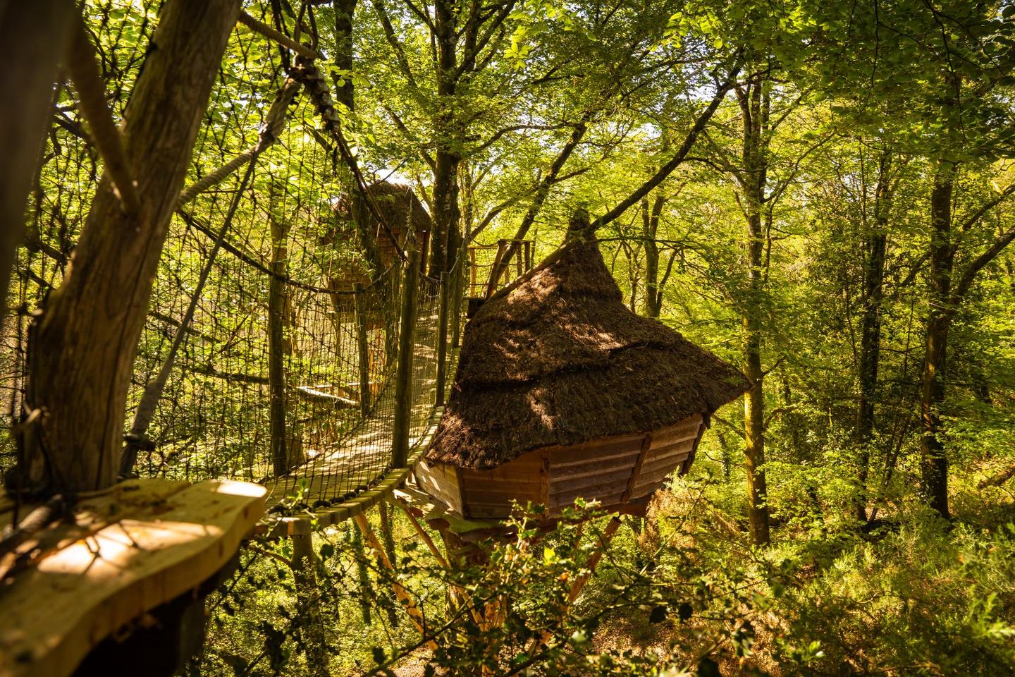 orderedImageAlt_accommodation_default