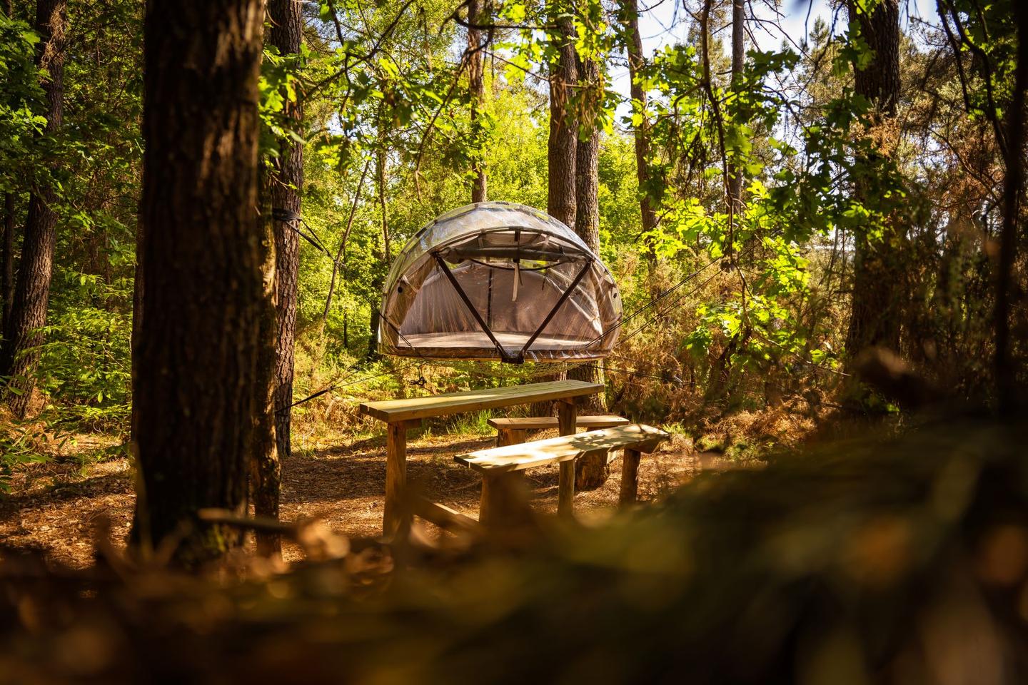 orderedImageAlt_accommodation_default