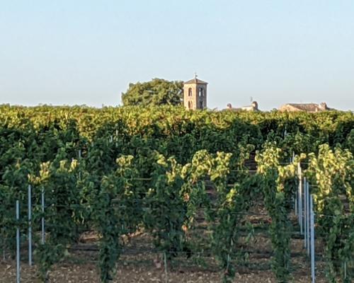 Hôte GreenGo: Gîte la Ritournelle - Image 40