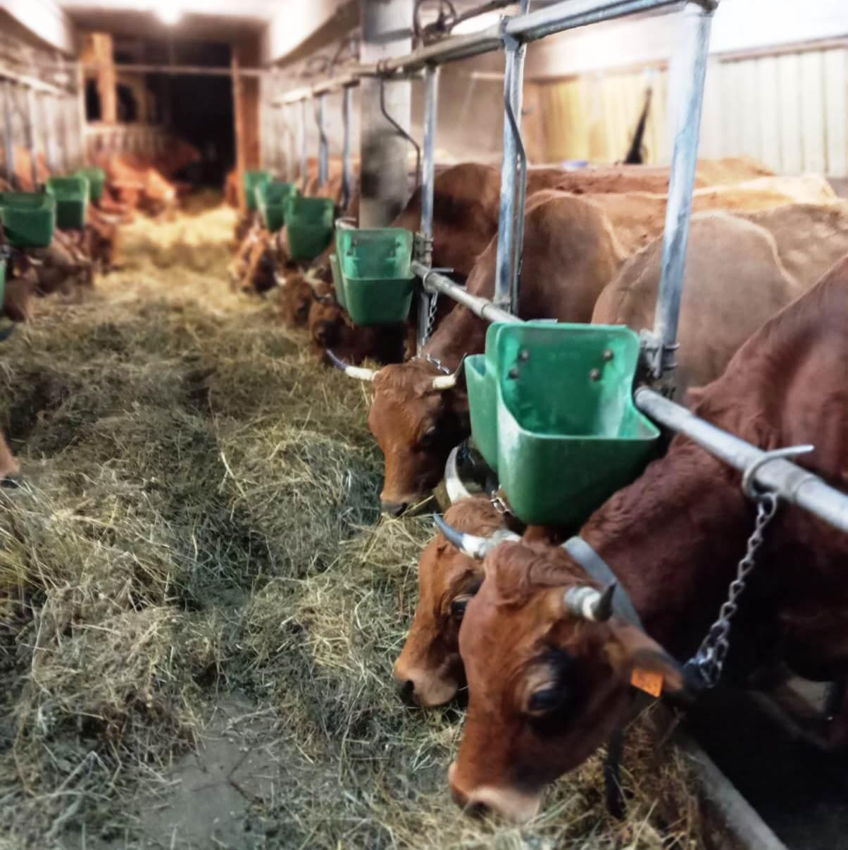 Carte cadeau GreenGo