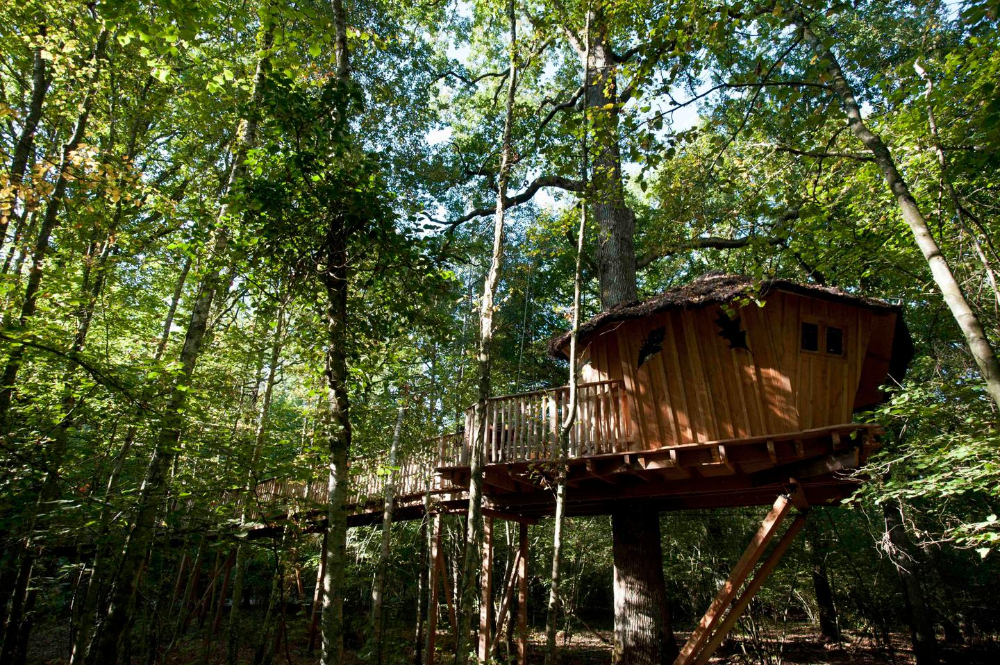 orderedImageAlt_accommodation_default