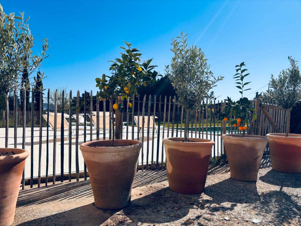GreenGo Maison Poumo : Gite Provençal avec Piscine & Padel Privé
