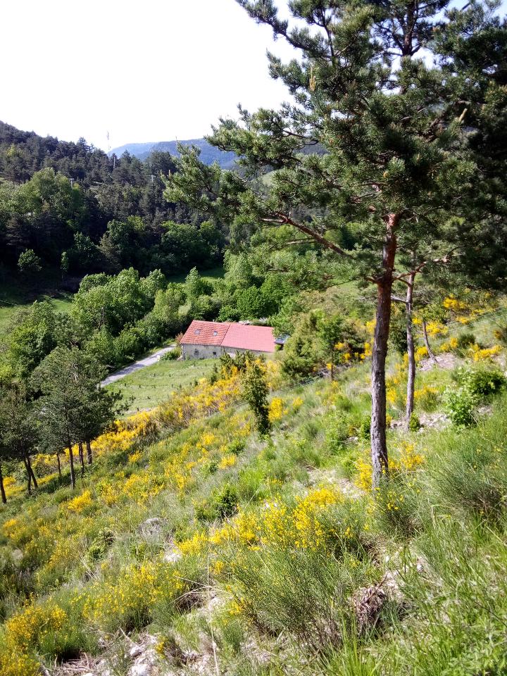 Hôte GreenGo: Ferme Des Montagnes Bleues - Chambre d'hôte avec petit déjeuner - Image 16