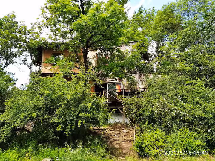Maison ''esprit cabane'' au milieu des arbres
