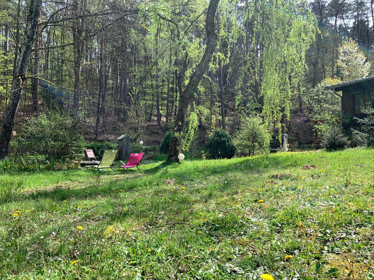 Hôte GreenGo: Au fond des bois - Une bulle de déconnexion rare et isolée, dans le Parc Régional Des Vosges Du Nord - Image 24