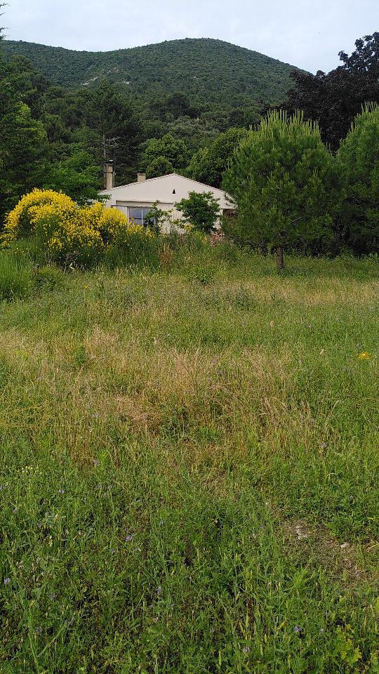 Carte cadeau GreenGo