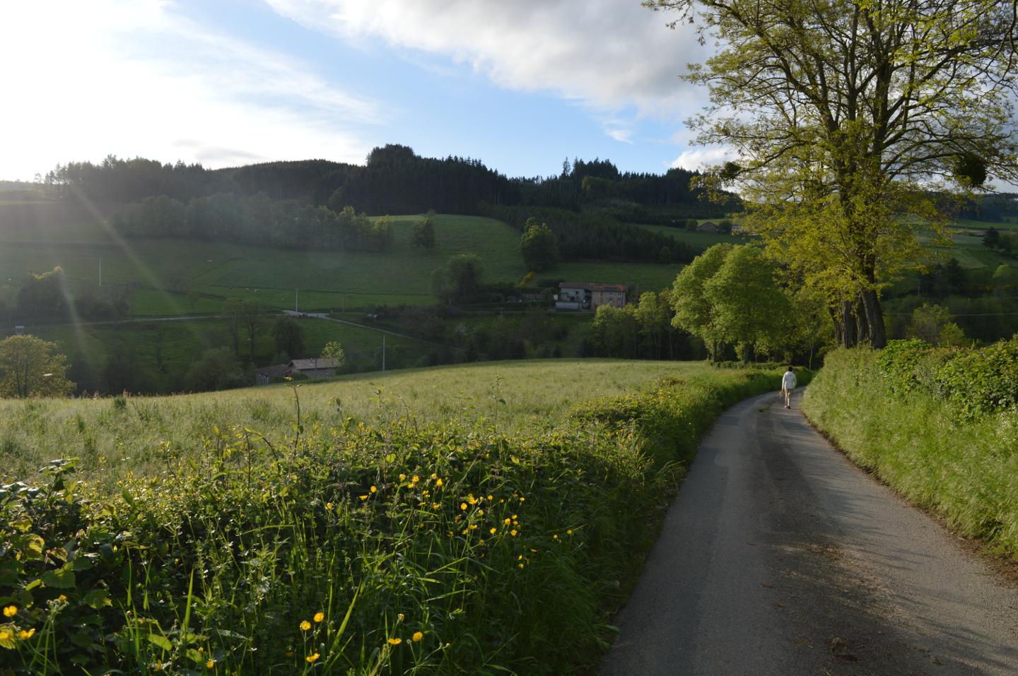 Hôte GreenGo: La Fabrique du Ronçon, maison de campagne - Image 38