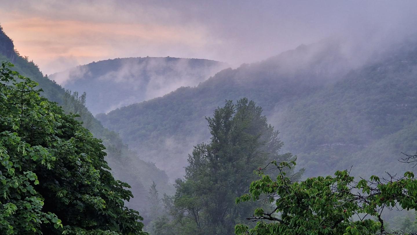 GreenGo location vacances écoresponsables