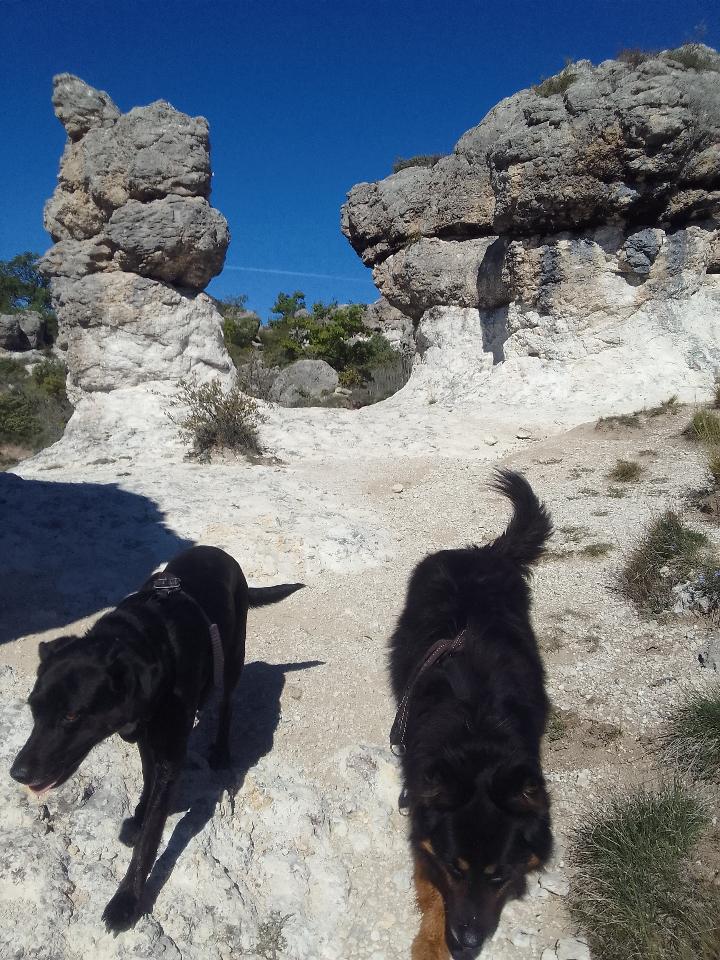 Hôte GreenGo: Les Favouilles : le gîte - Image 59