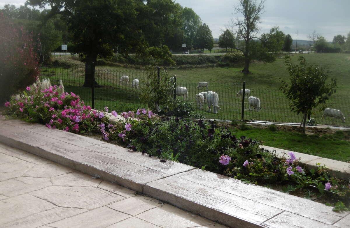 GreenGo Gîte Bourgogne-Franche-Comté Évasion