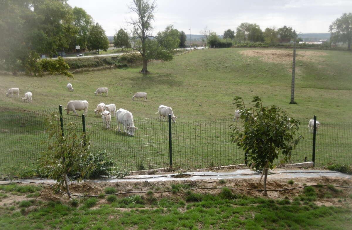 GreenGo location vacances écoresponsables