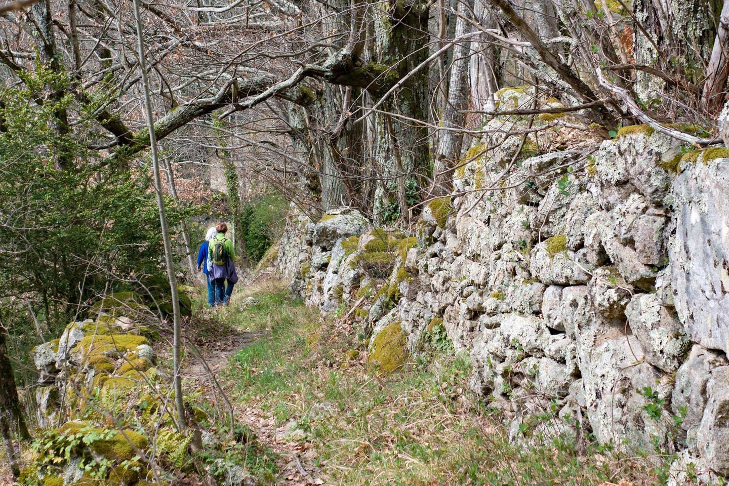 Hôte GreenGo: Gîte du Parc régional des Monts d' Ardèche - Image 20