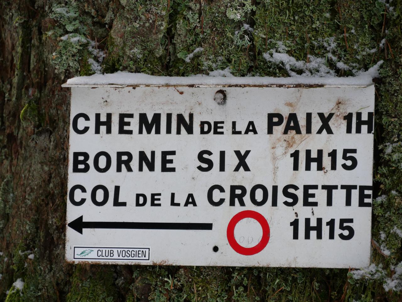 Logement GreenGo: Gîte Myrtille, un havre de tranquillité en pleine nature au cœur des Vosges - Image 19
