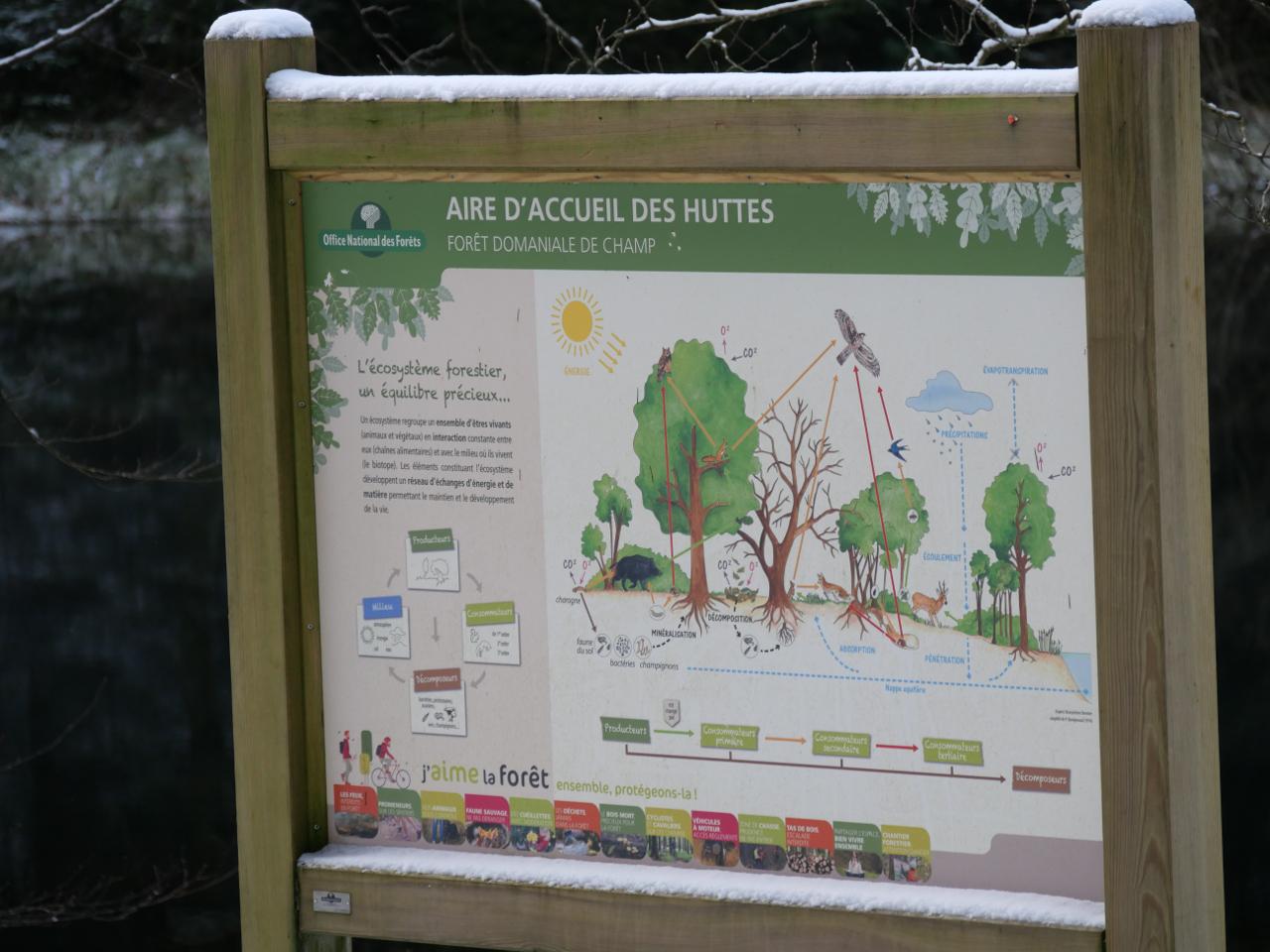 Logement GreenGo: Gîte Myrtille, un havre de tranquillité en pleine nature au cœur des Vosges - Image 20