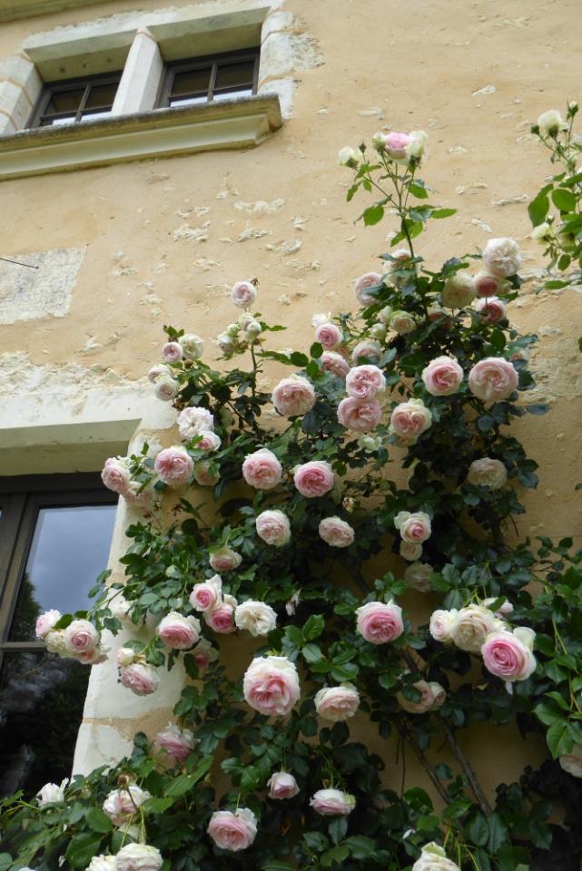 GreenGo Location Normandie Évasion