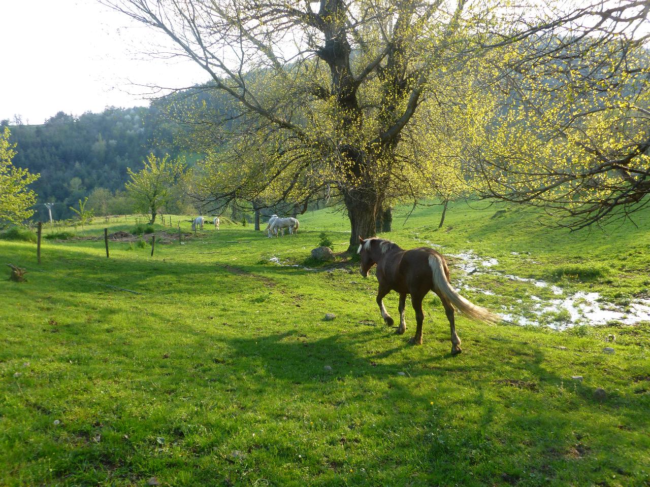 Hôte GreenGo: Gîte du Parc régional des Monts d' Ardèche
