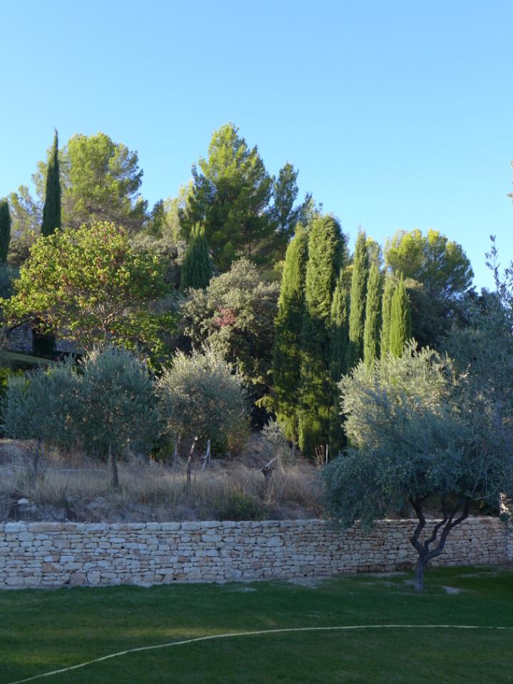 Hôte GreenGo: Maison Santolines (Gordes) - Image 4