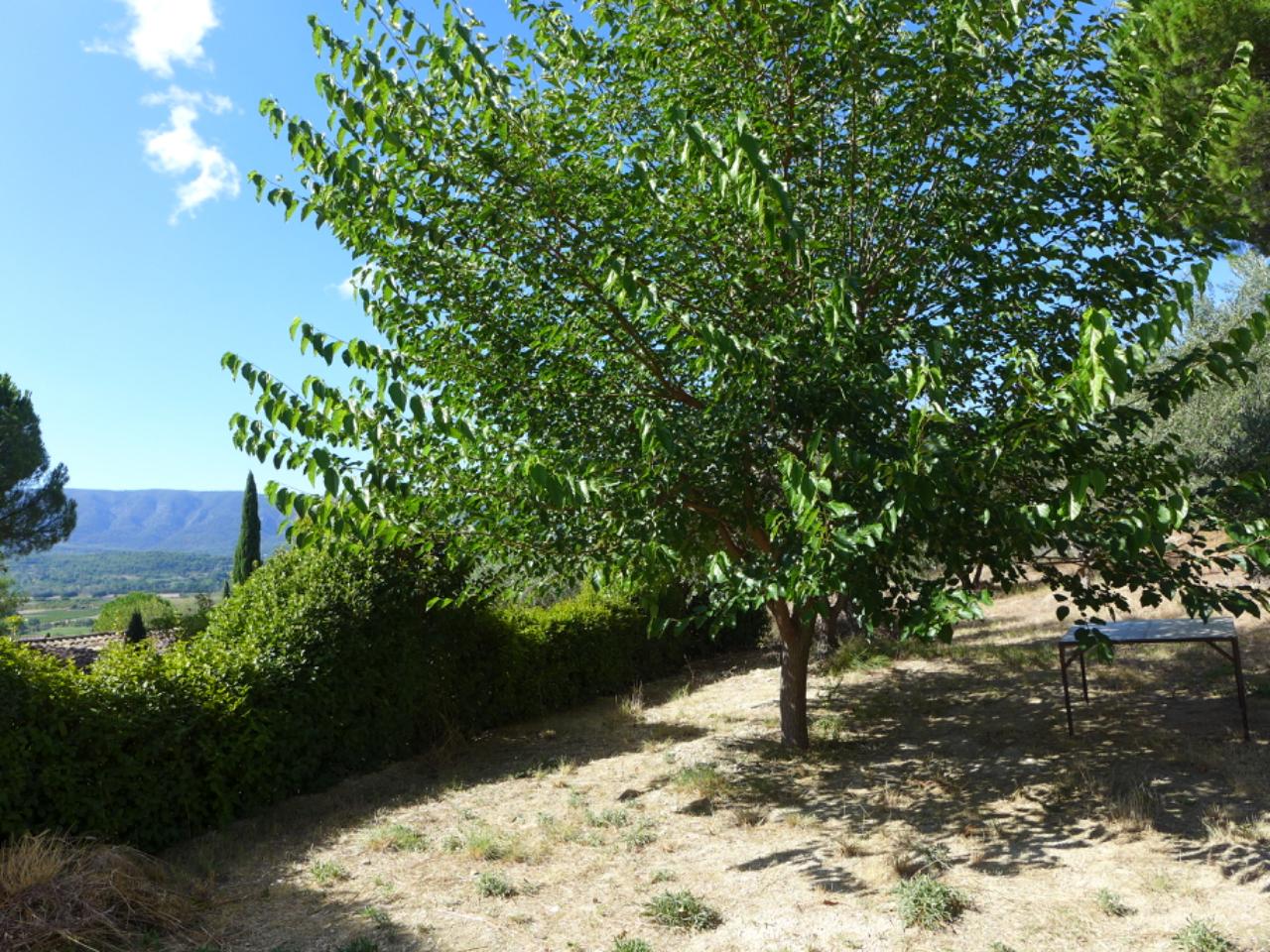 Hôte GreenGo: Maison Santolines (Gordes) - Image 10