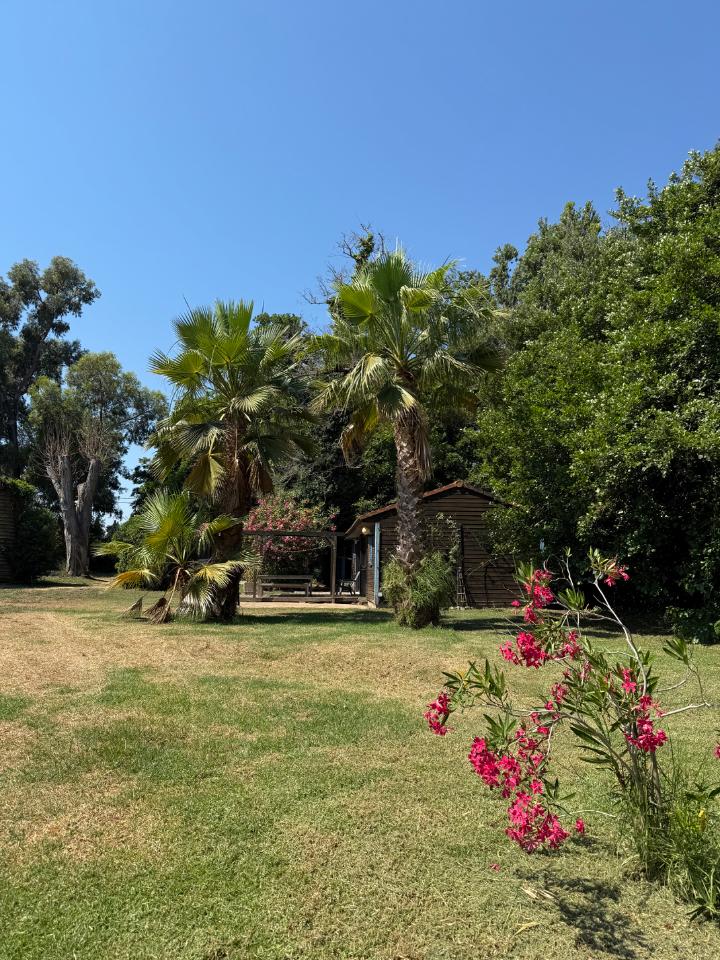 orderedImageAlt_accommodation_default